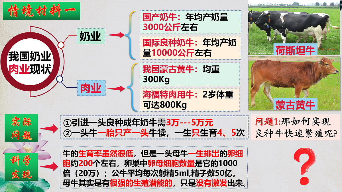 17955558第3页