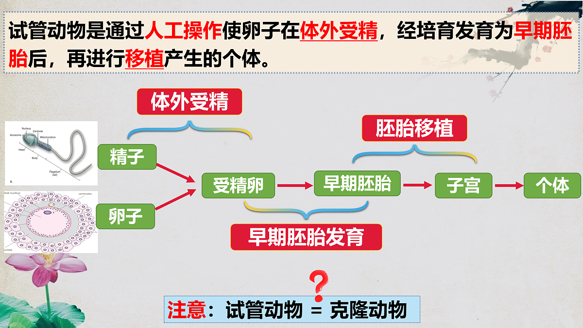 17955558第5页