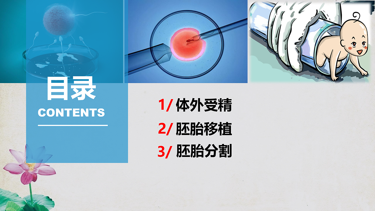 17955558第6页