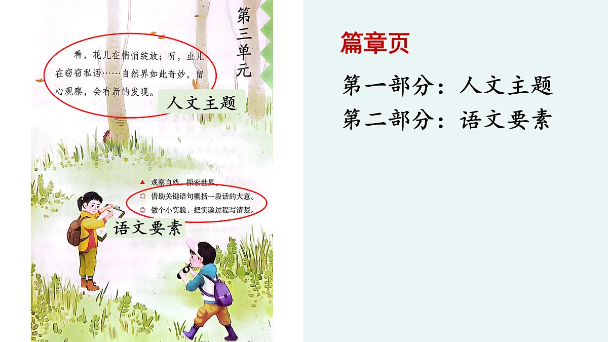 《海底世界》第1课时第2页