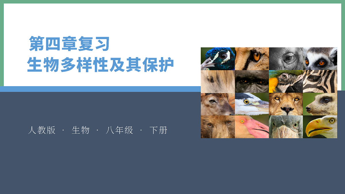17955746第1页