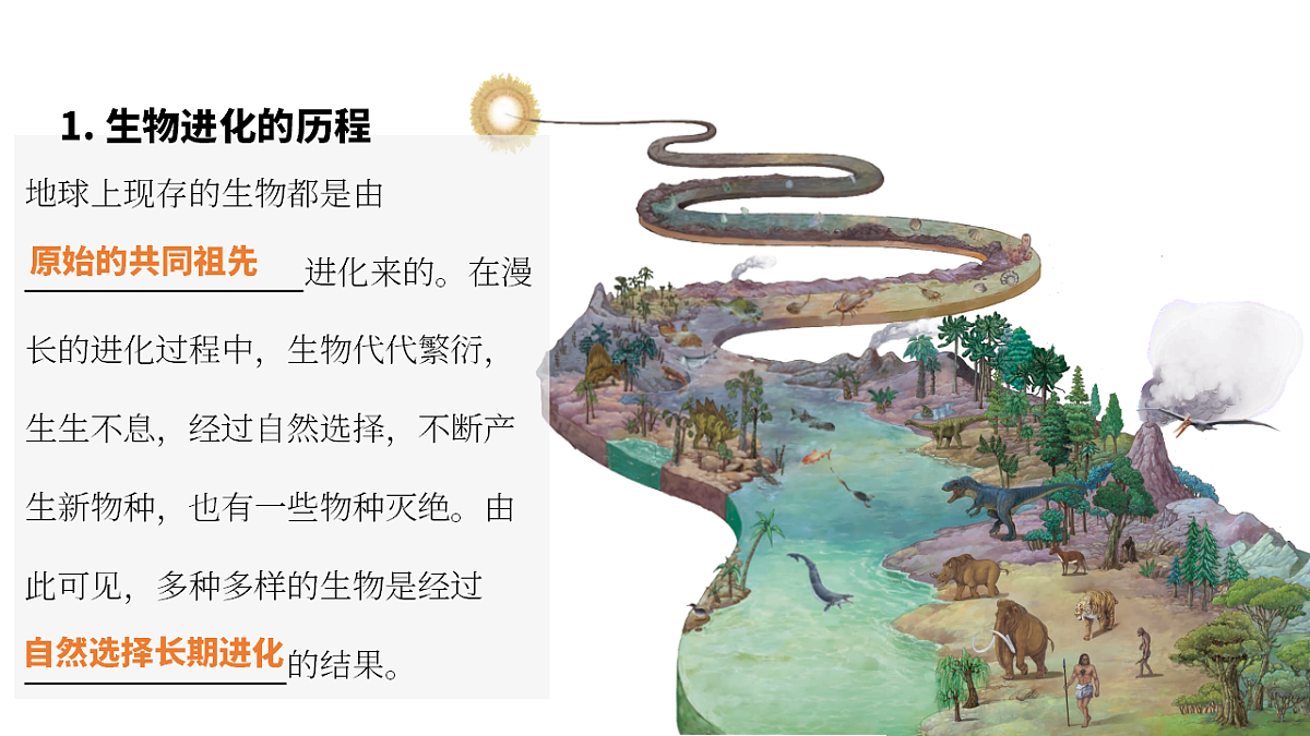 17955746第2页