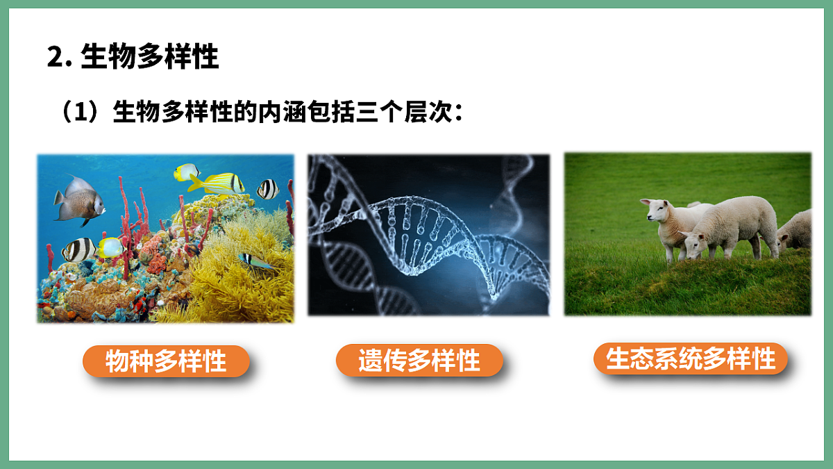 17955746第3页