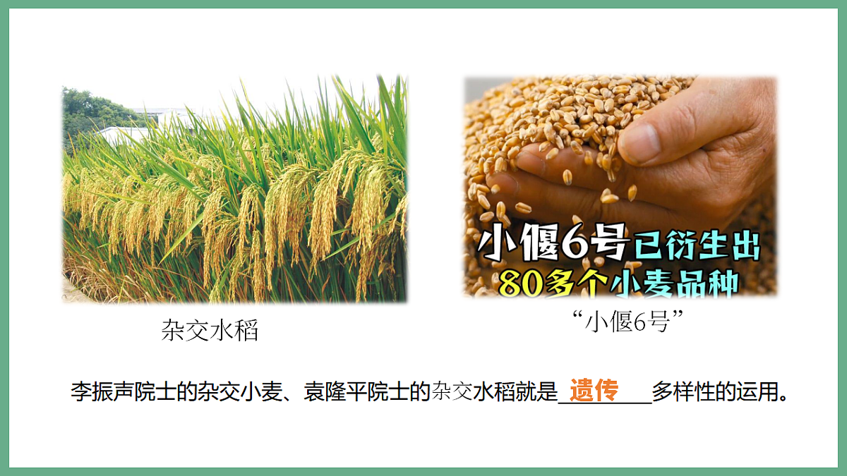 17955746第6页