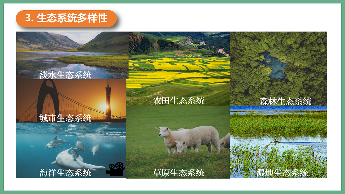 17955746第7页