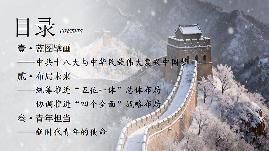 17955765第4页