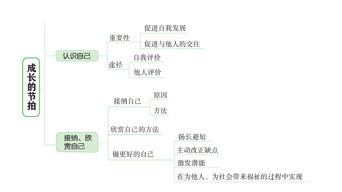 17955772第3页