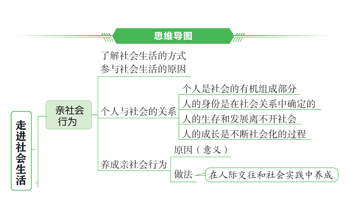 17955773第2页