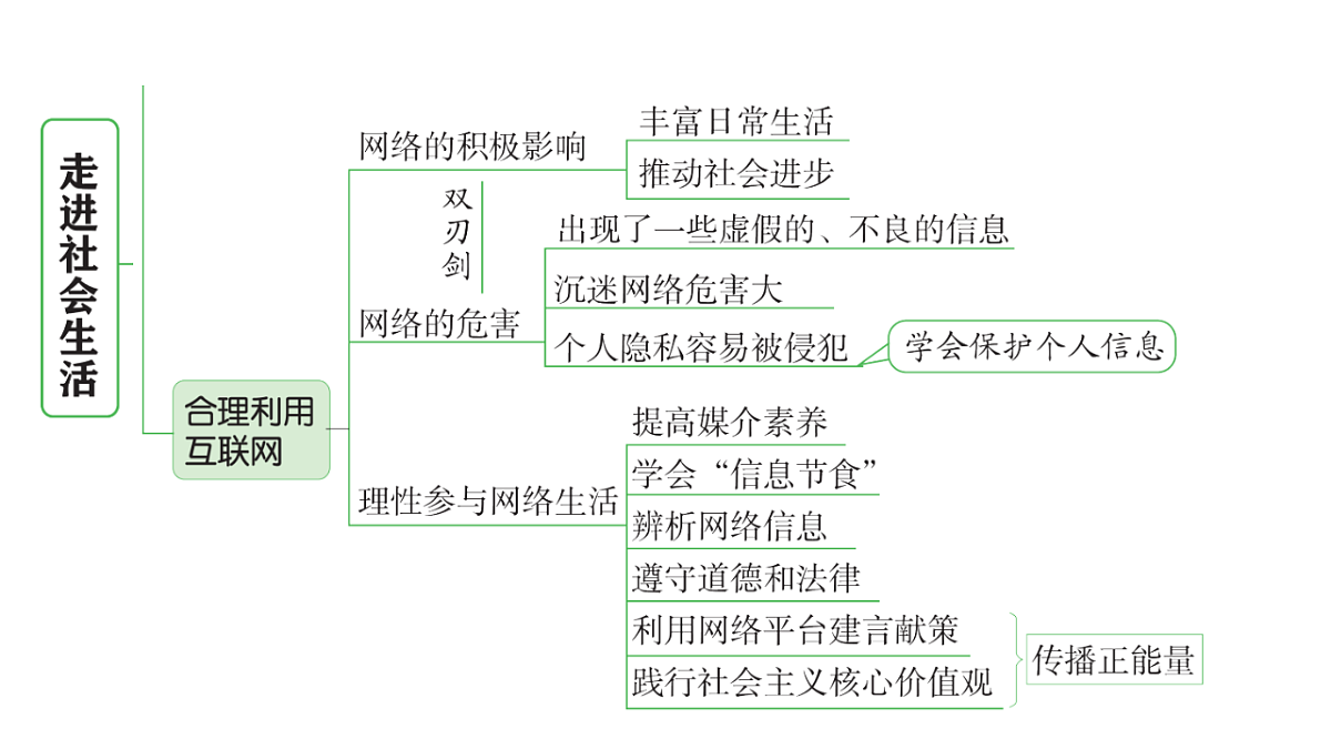 17955773第3页