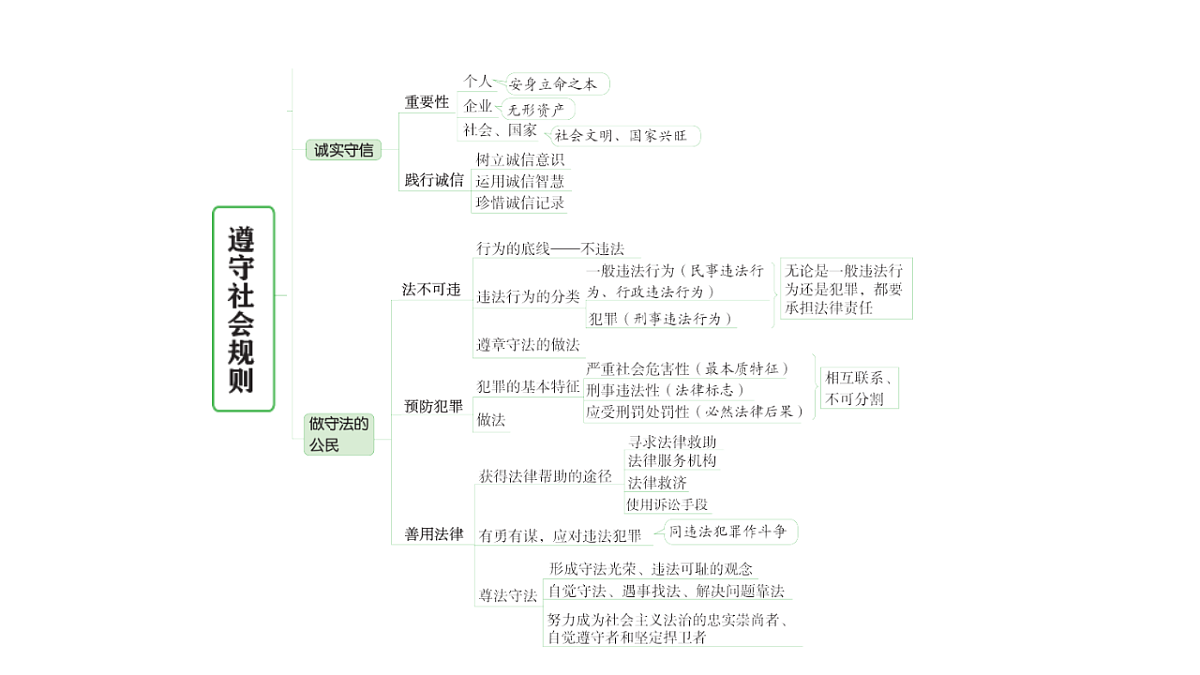 17955779第3页