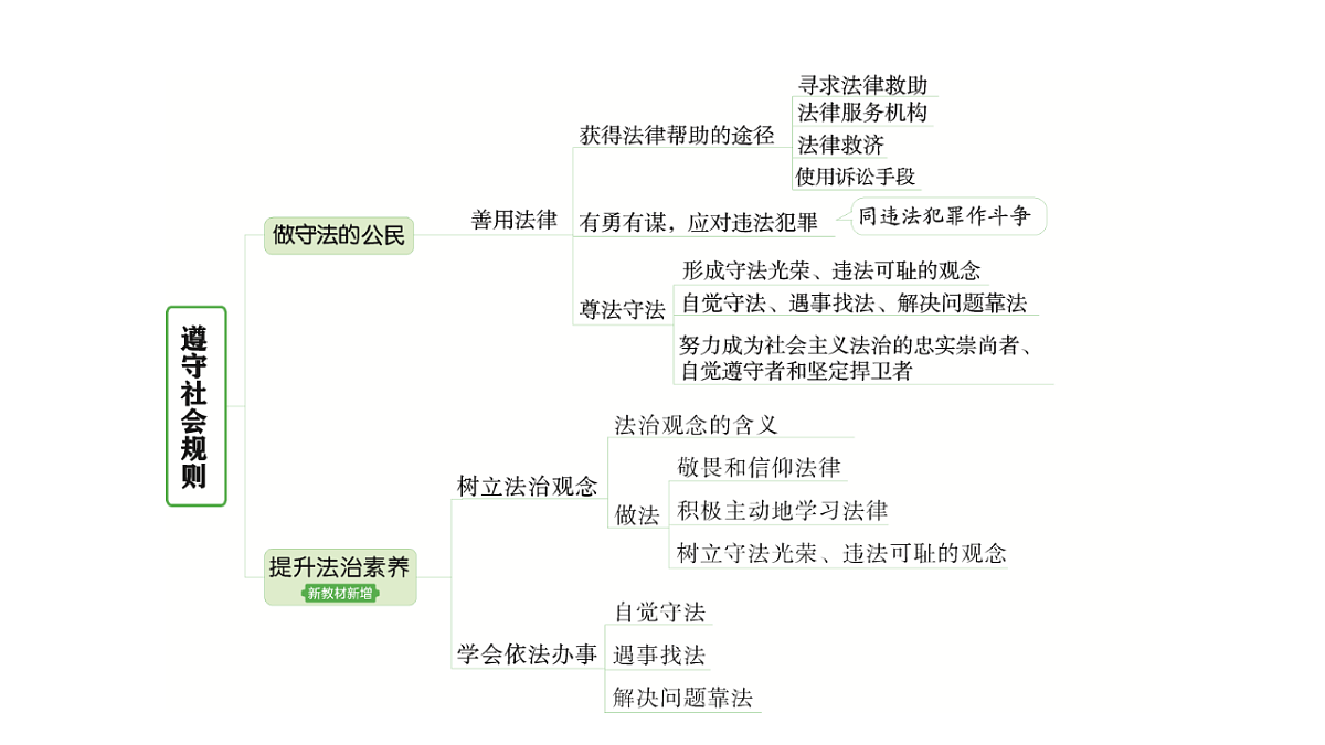 17955779第4页