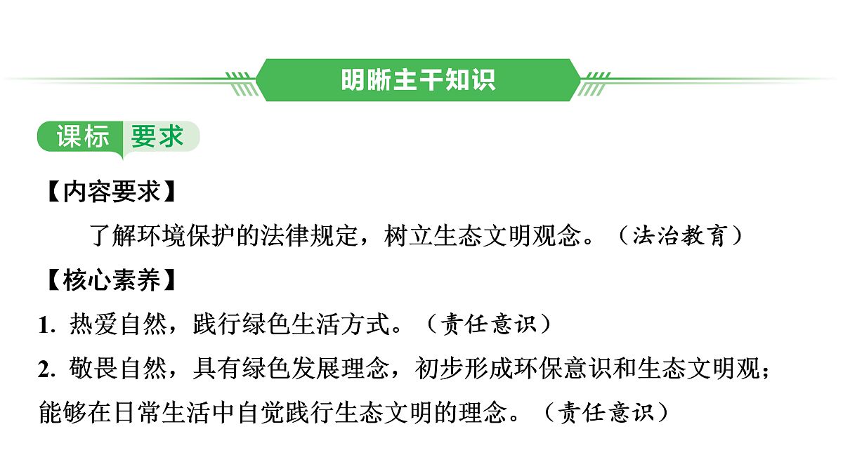 17955802第2页