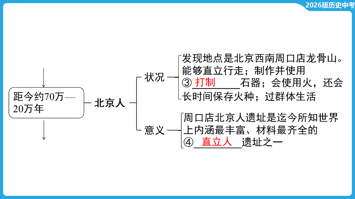 17955848第8页