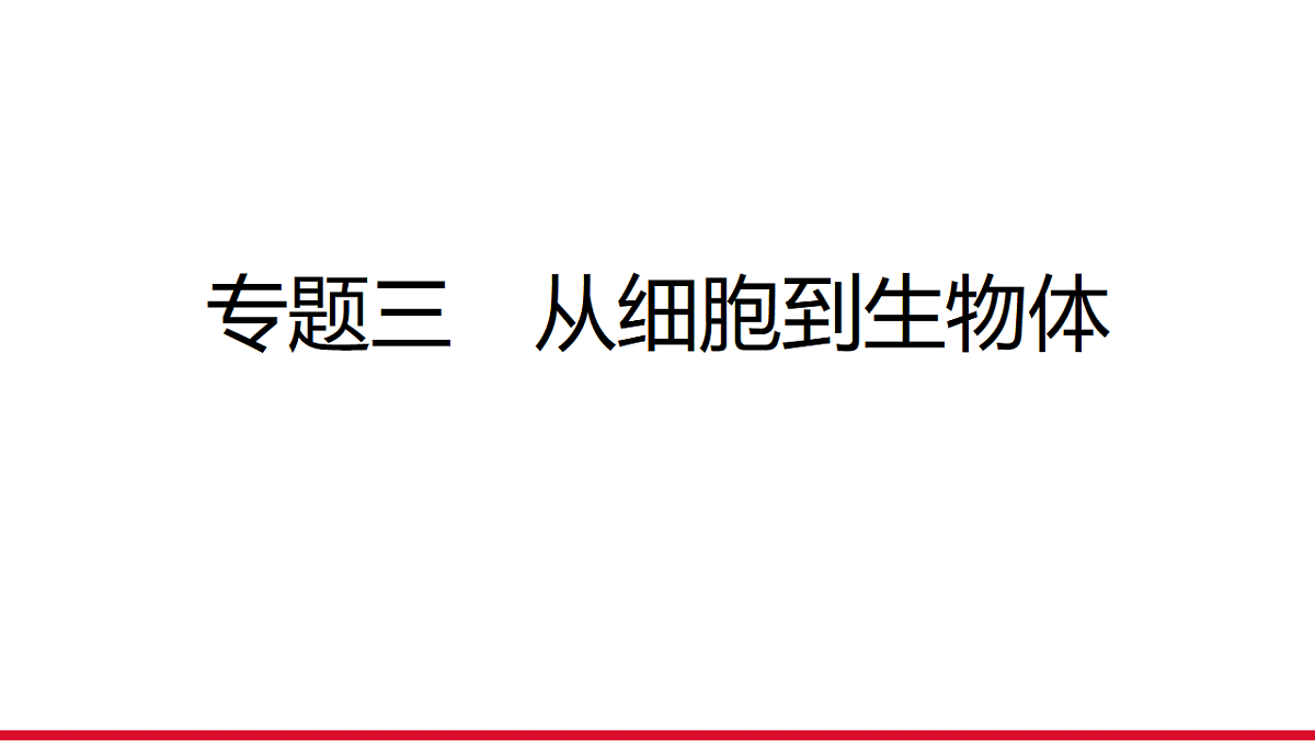 17955870第1页