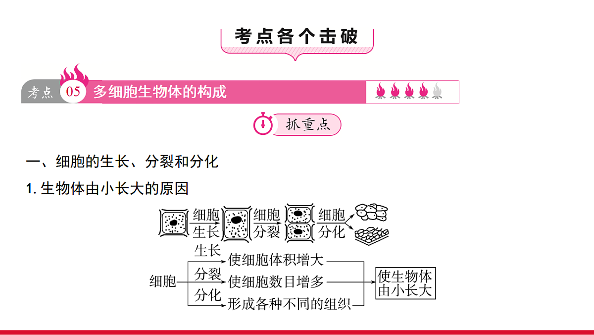 17955870第3页