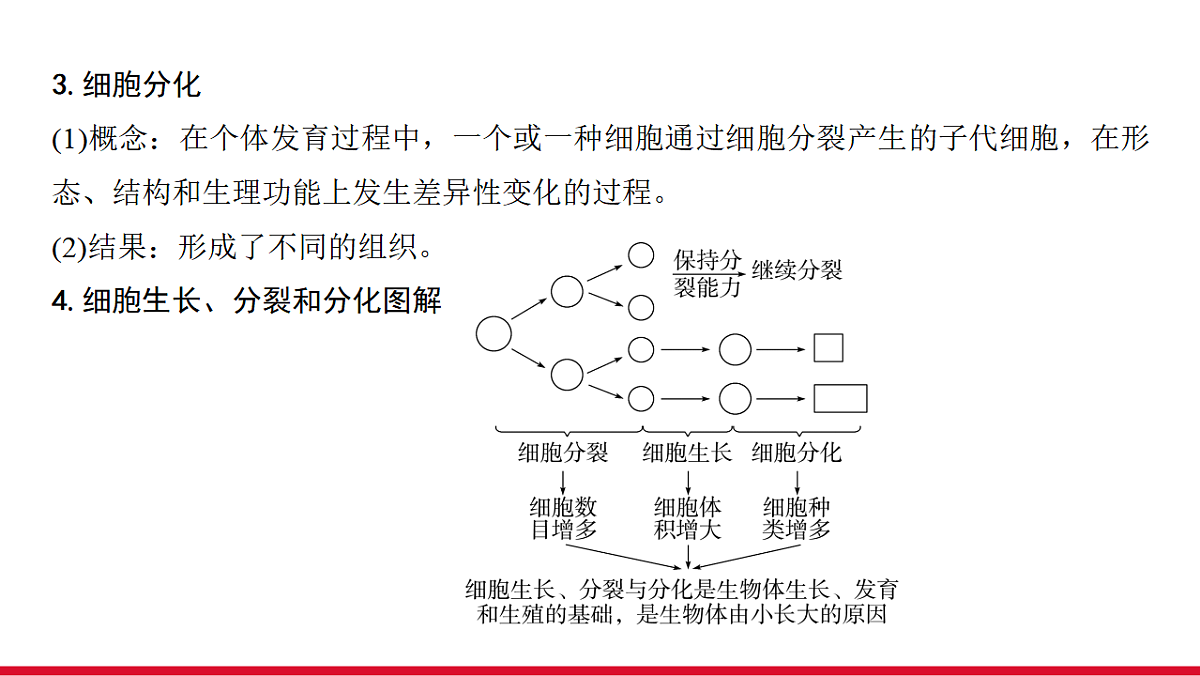 17955870第5页