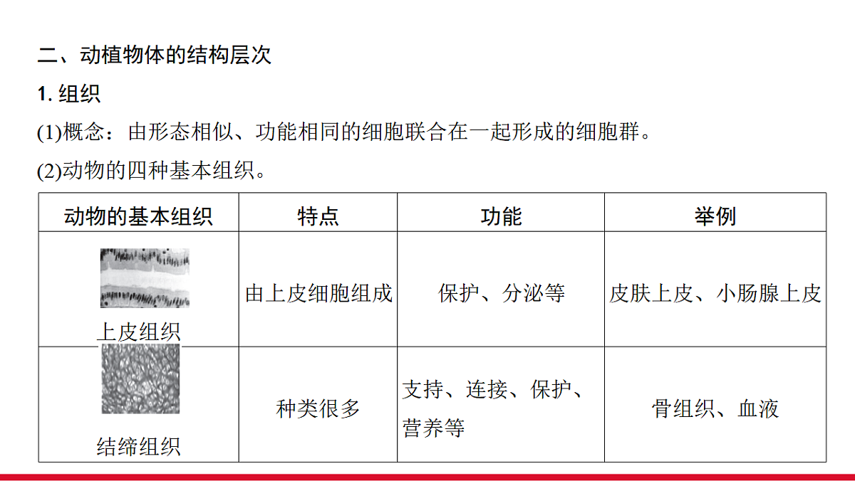 17955870第6页