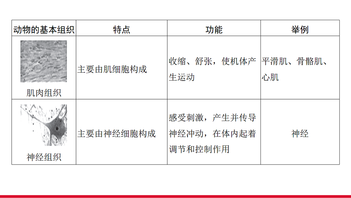 17955870第7页