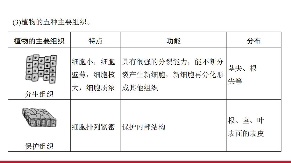 17955870第8页