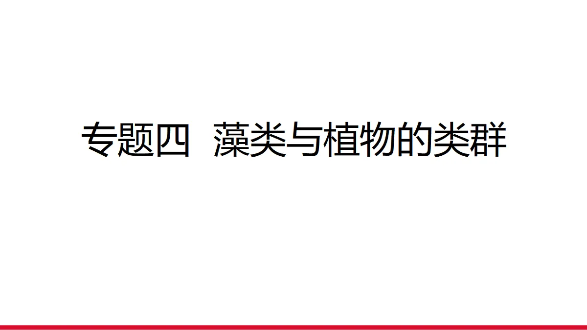 17955871第1页