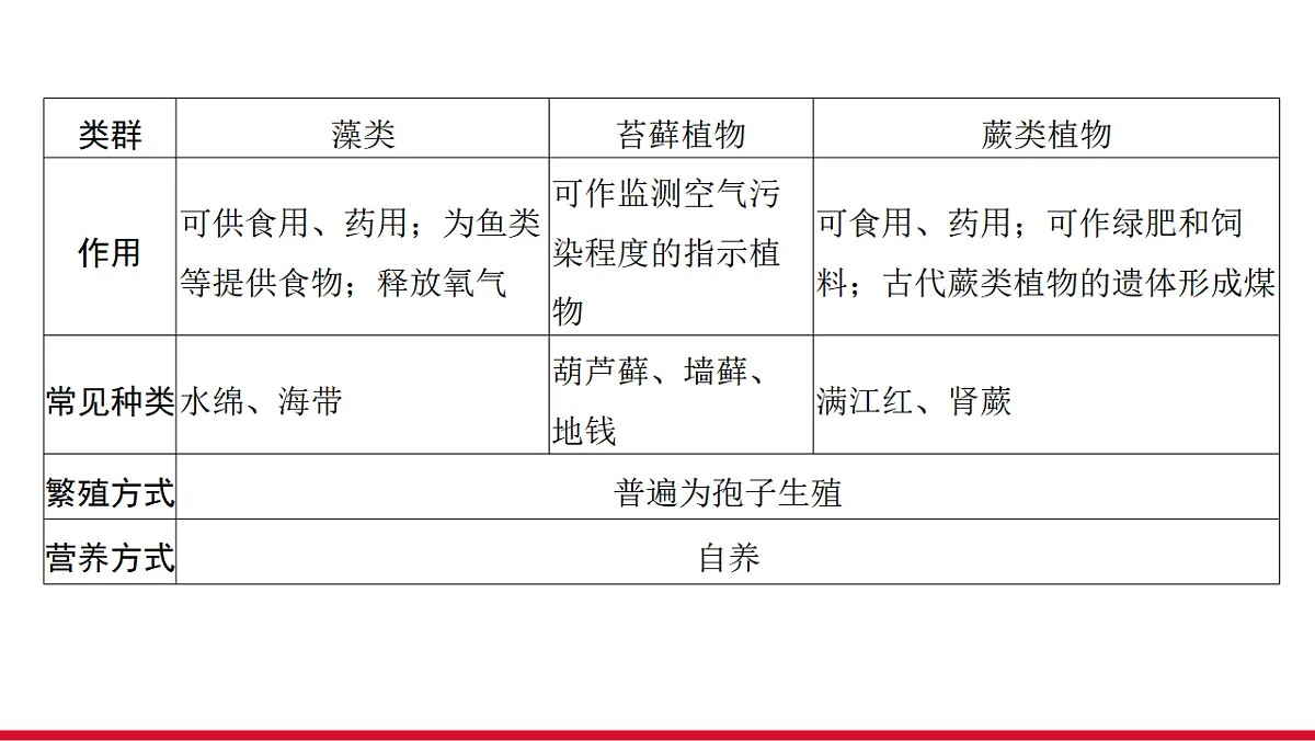 17955871第4页