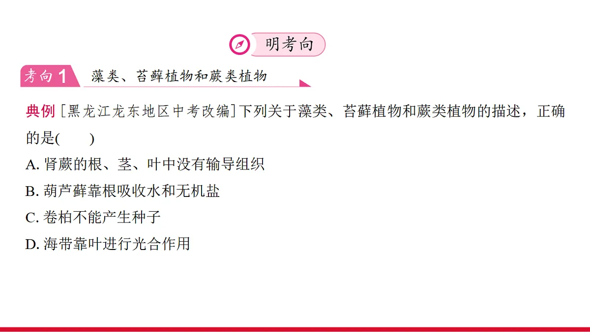 17955871第5页