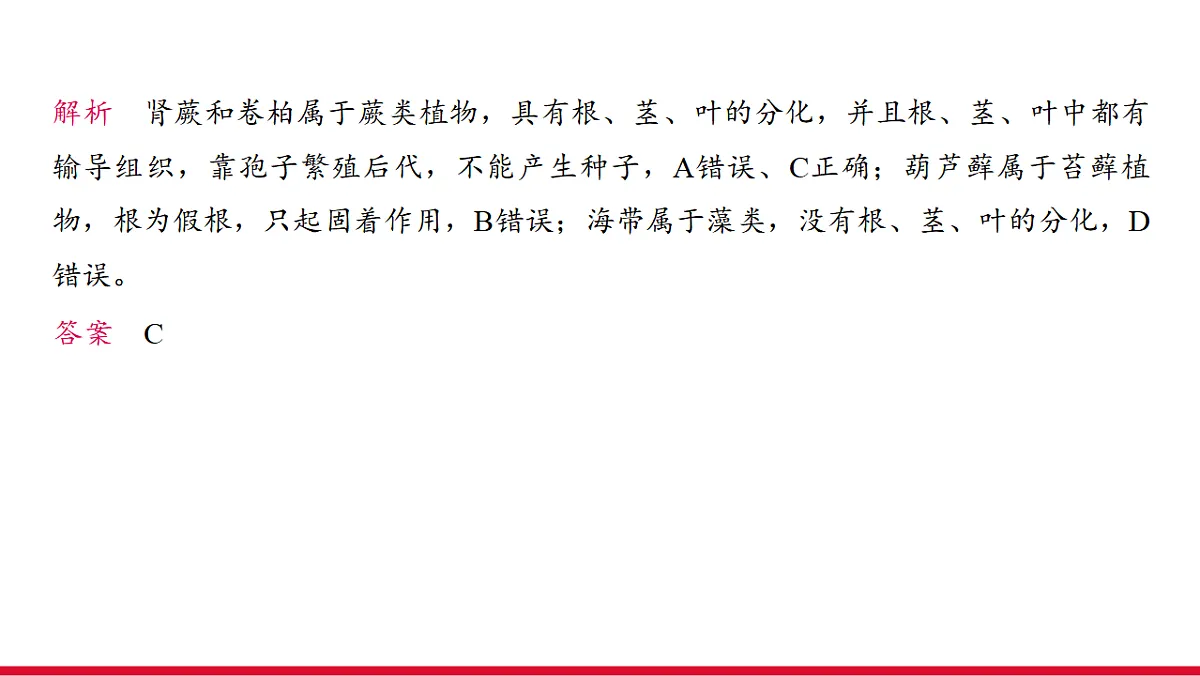 17955871第6页