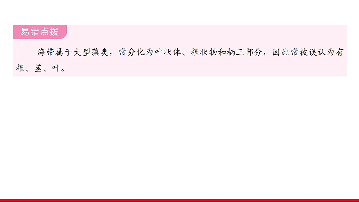17955871第7页