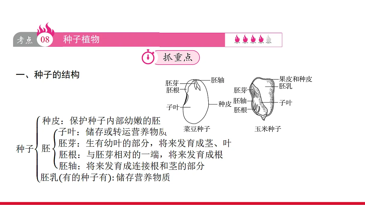 17955871第8页