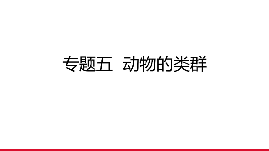 17955872第1页