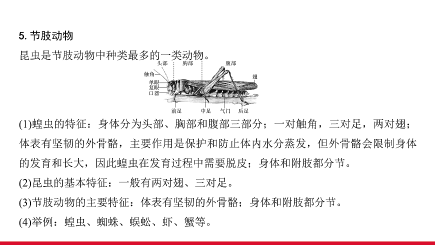 17955872第6页