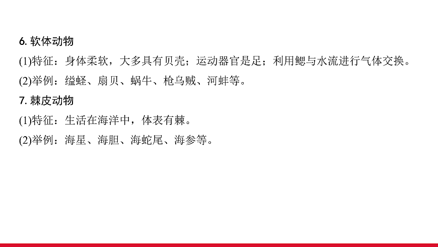 17955872第7页