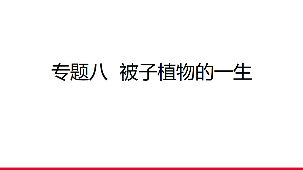 17955875第1页