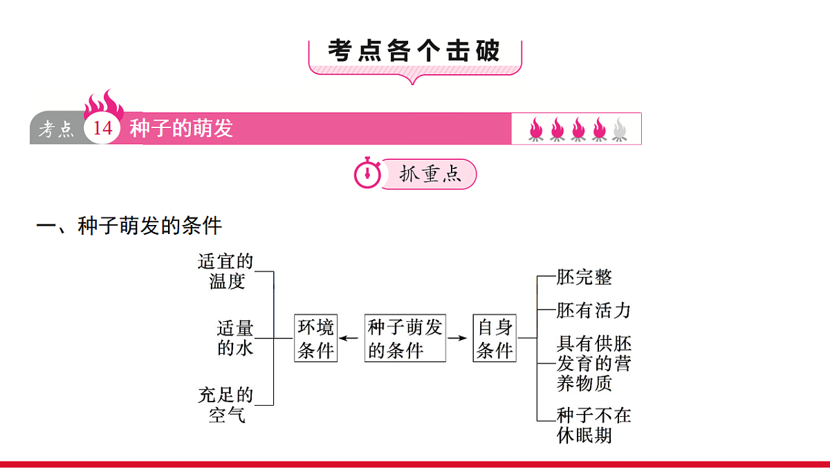 17955875第3页