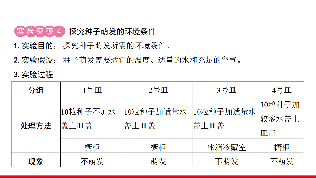 17955875第4页