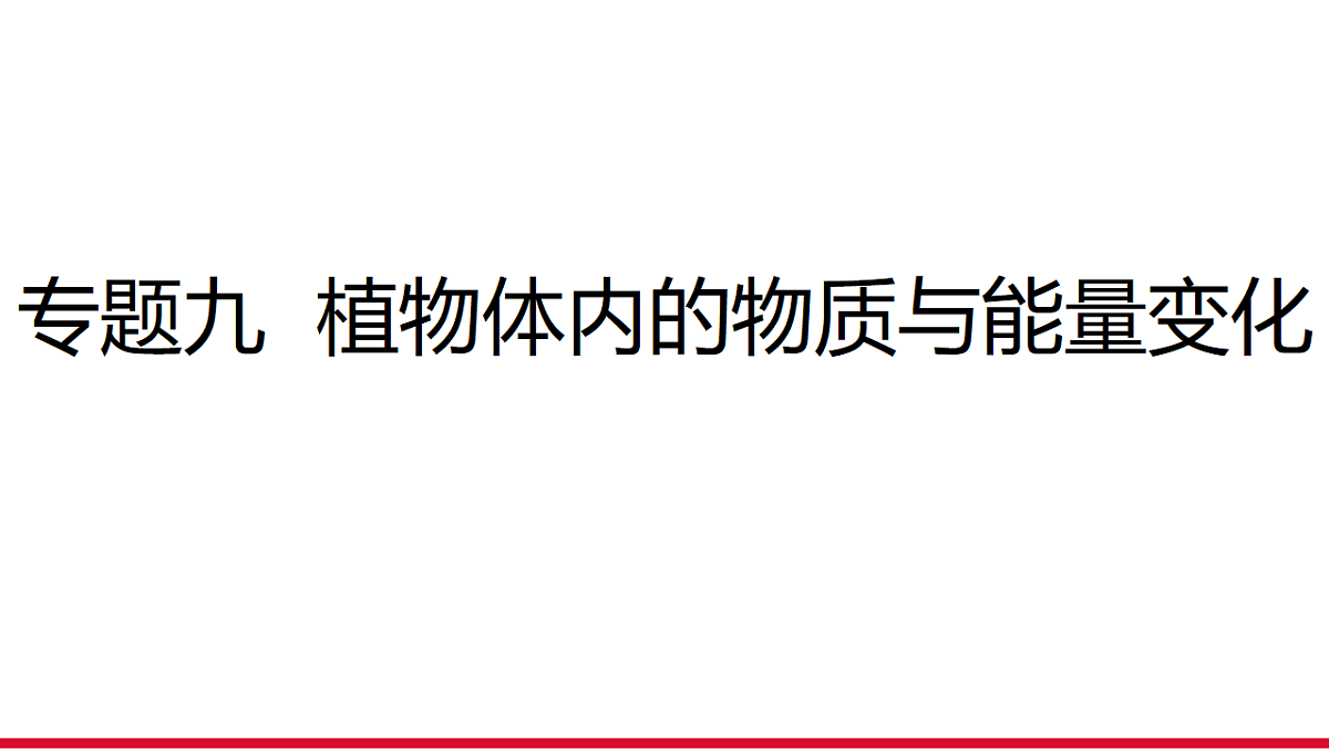 17955876第1页