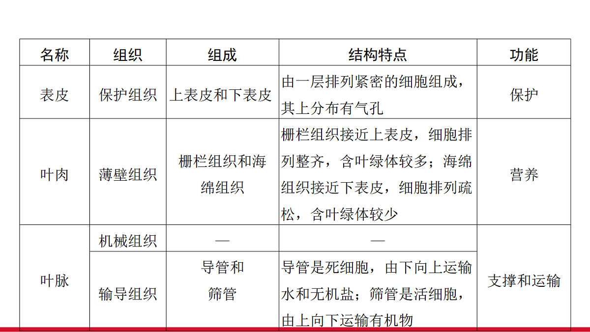 17955876第5页