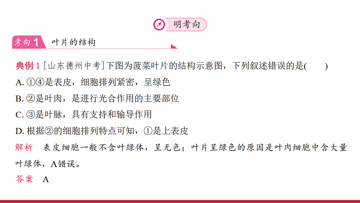 17955876第8页
