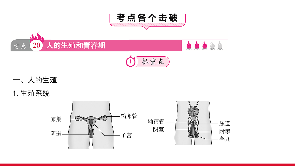 17955877第3页