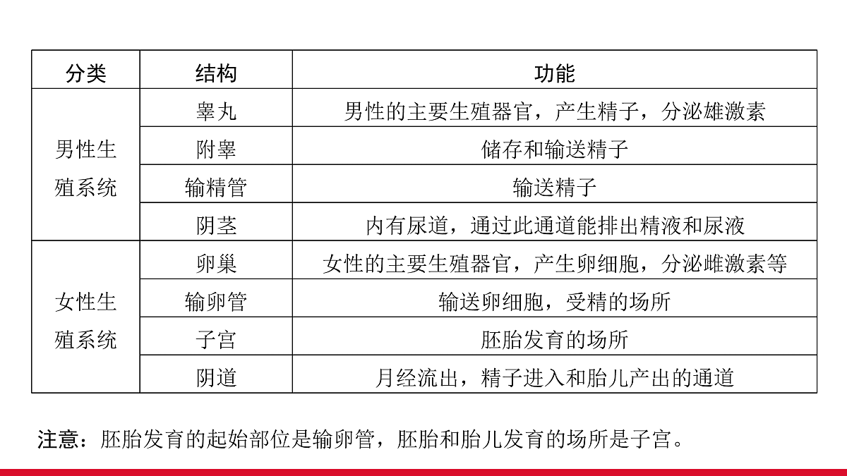 17955877第4页