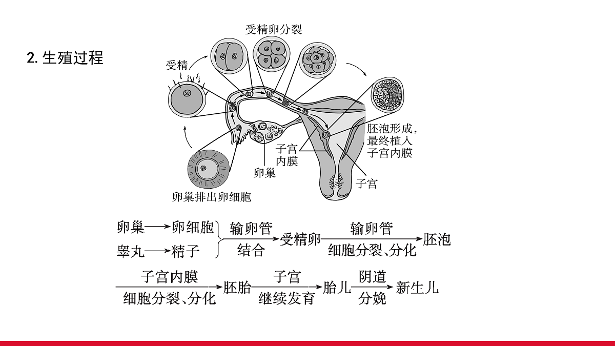 17955877第5页