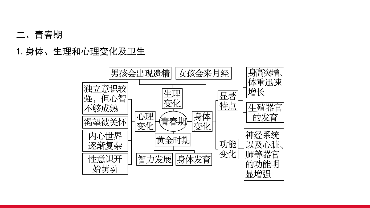 17955877第7页