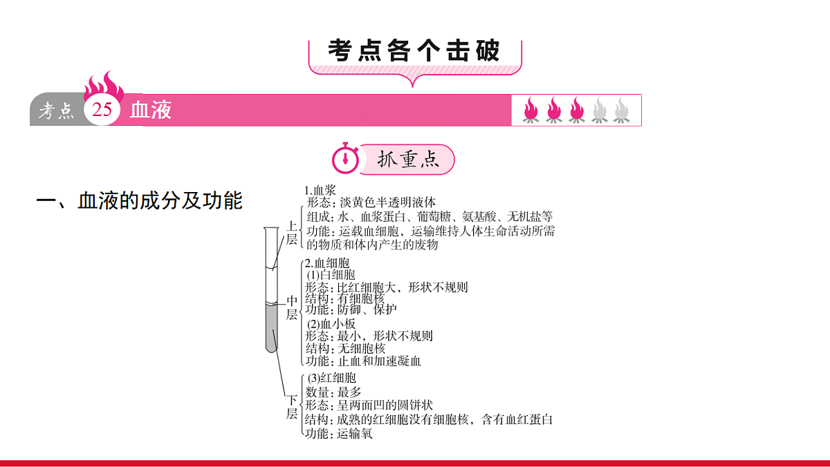 17955880第3页