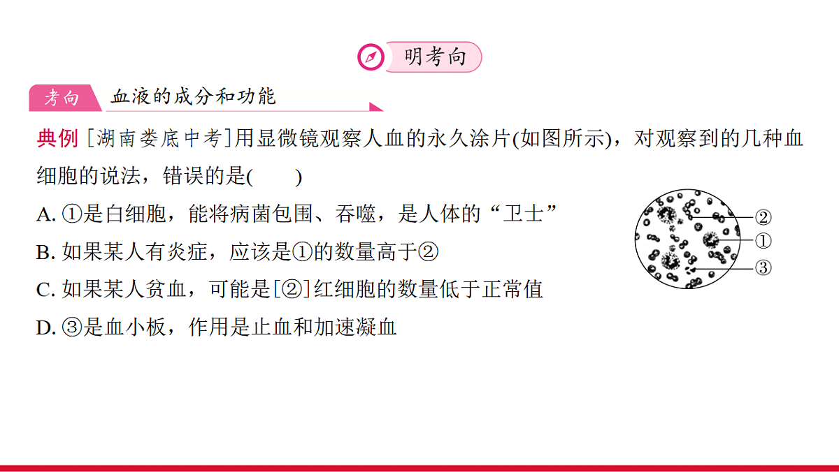 17955880第7页