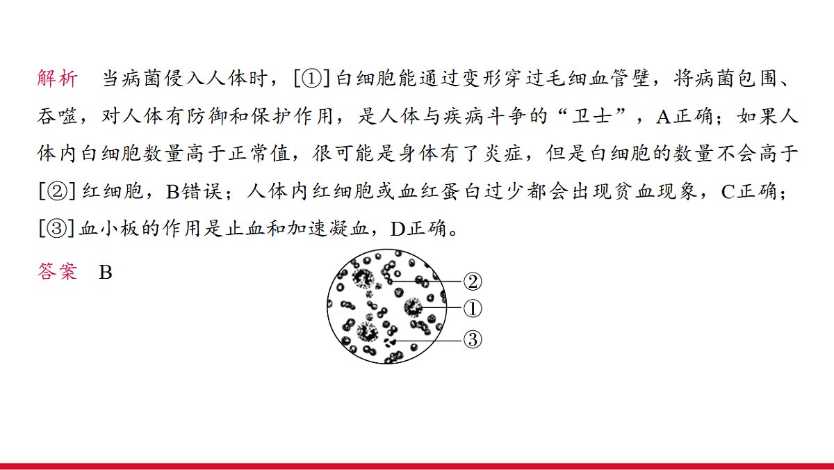 17955880第8页