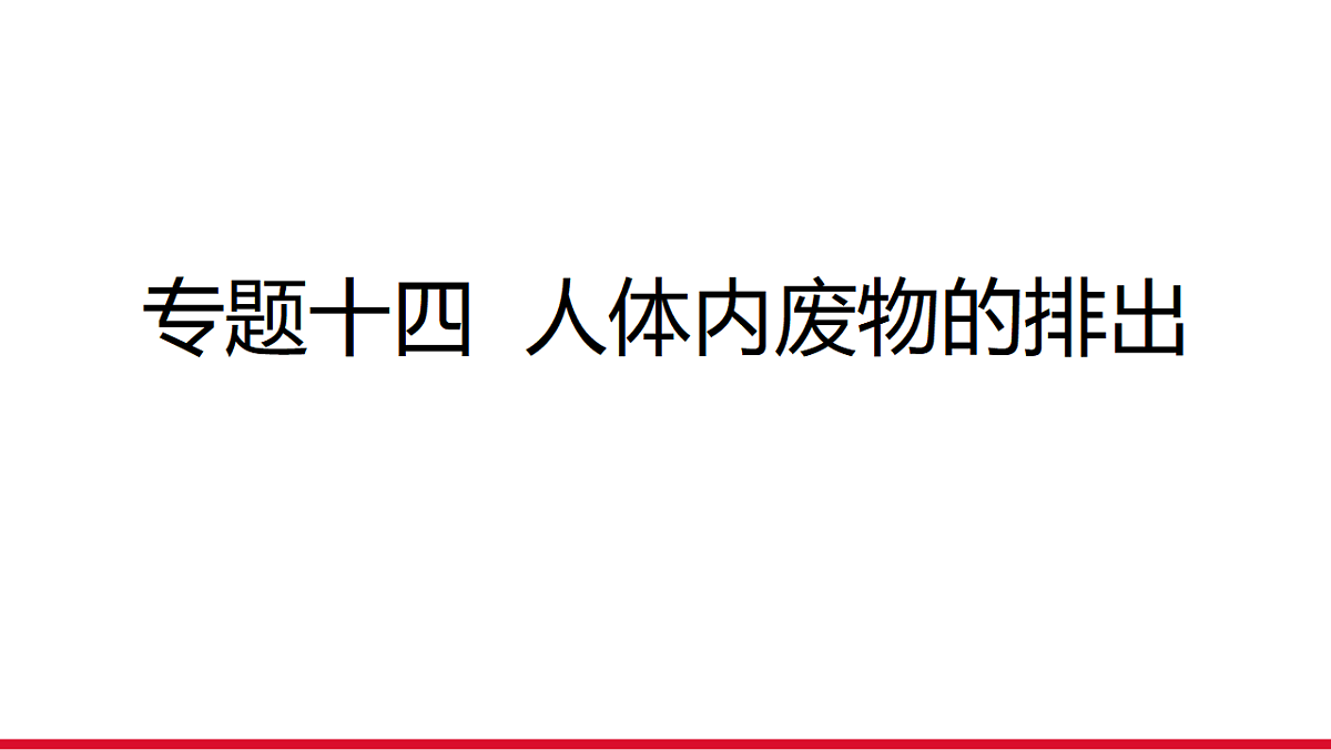 17955881第1页