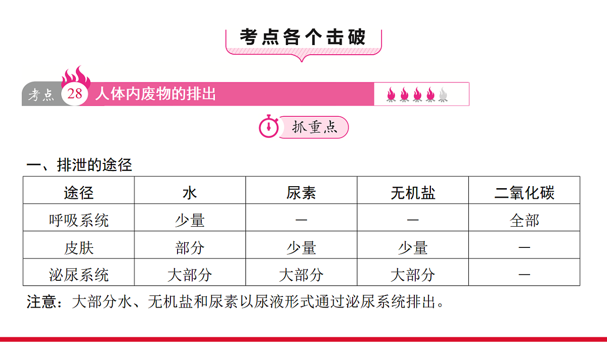 17955881第3页