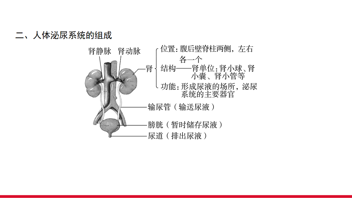 17955881第4页