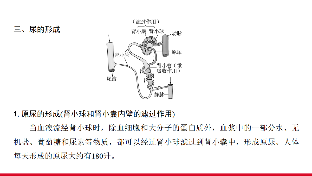 17955881第5页