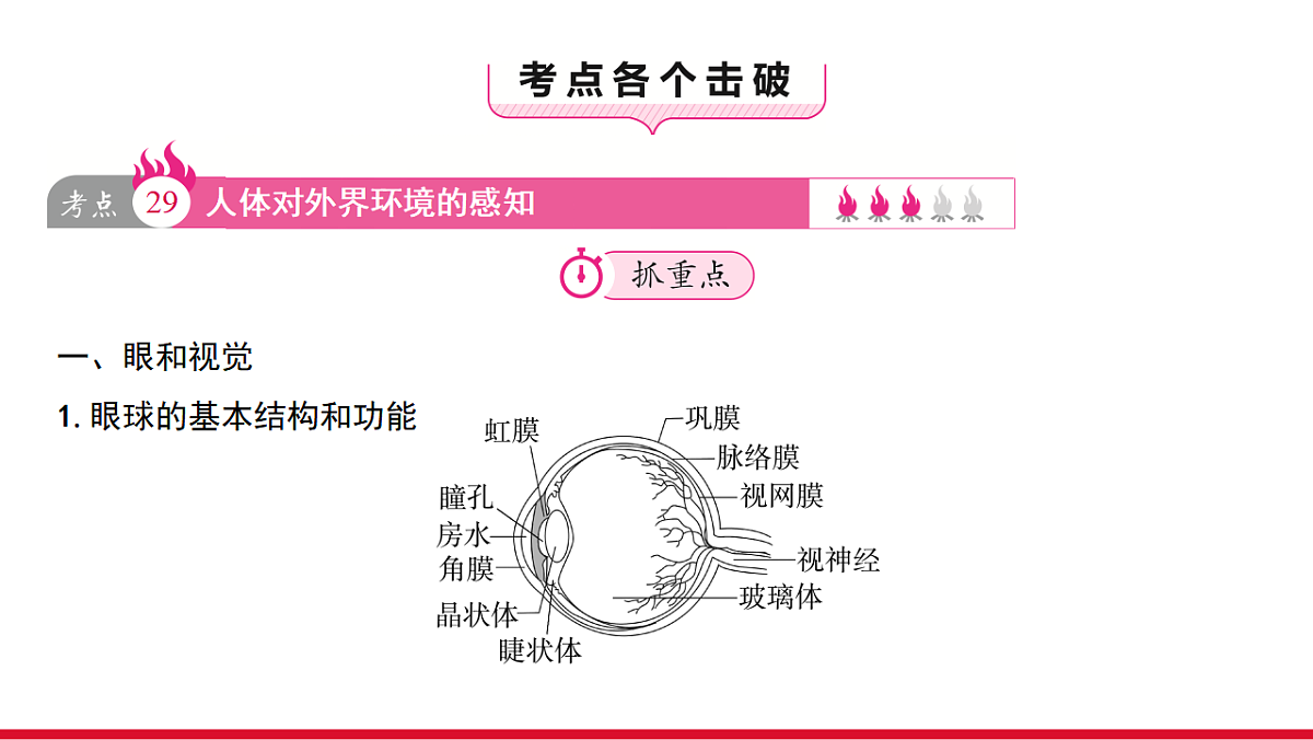 17955882第3页
